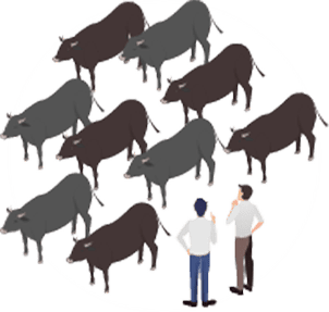 イラスト